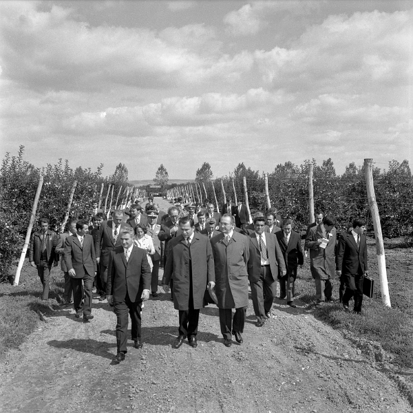 Ioan Matei Agapi - Ierarhie tovărăşească.jpg